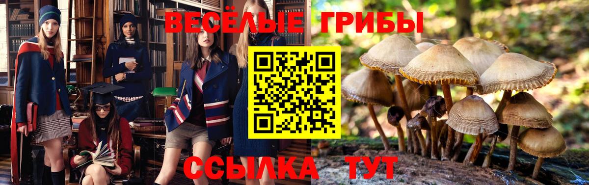 Галлюциногенные грибы ЛСД Шатура
